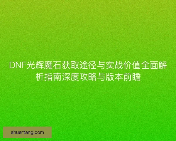 DNF光辉魔石获取途径与实战价值全面解析指南深度攻略与版本前瞻