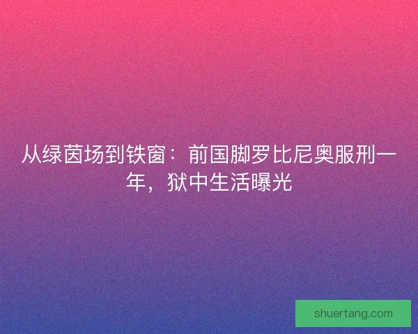 从绿茵场到铁窗：前国脚罗比尼奥服刑一年，狱中生活曝光